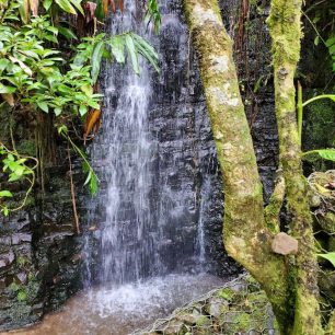 Holy Well Water Falls